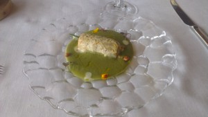 IMAG2244
