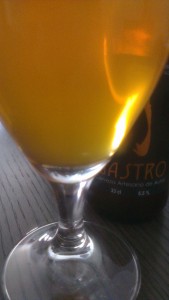 Cerveza artesanal Gastro