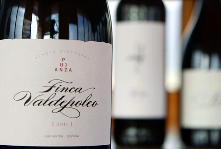 Finca Valdepoleo 2011, maduro, fresco, máxima expresión del terruño!