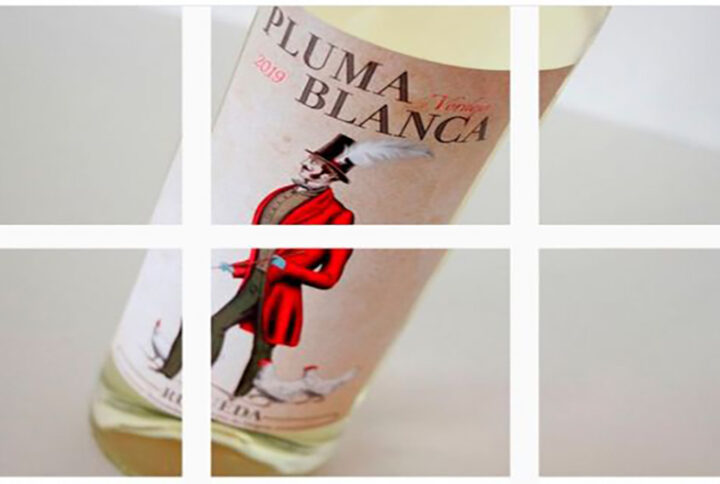 Pluma Blanca Bodegas El Inicio