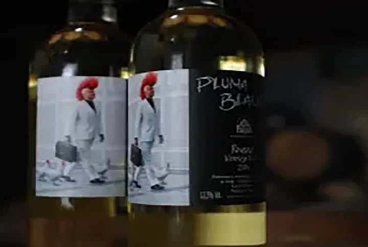 Bodegas El Inicio, a las faldas del castillo de Peñafiel
