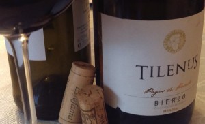 Tilenus Pagos de Posada Bierzo Bodegas Estefanía