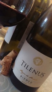 Tilenus Pagos de Posada Bierzo Bodegas Estefanía