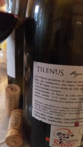 Tilenus Pagos de Posada Bierzo Bodegas Estefanía