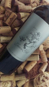 Juan Gil 12 meses Jumilla Monastrell
