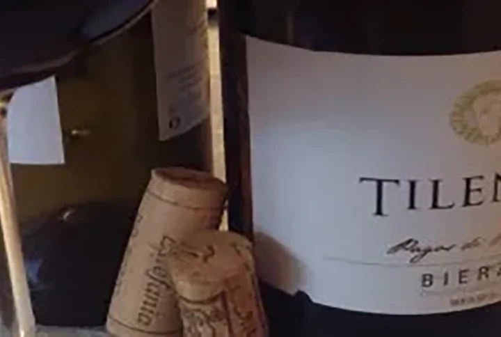 Tilenus Pagos de Posada, fuerza y frescura del Bierzo