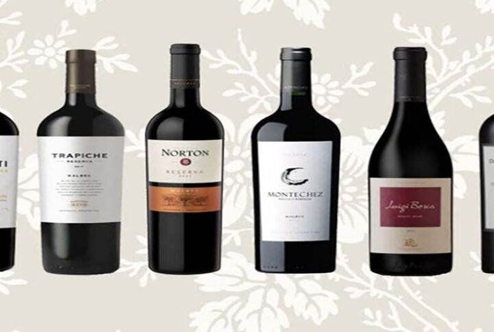 Primer XV Edición Vinos Maceración Carbónica