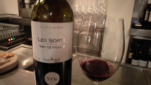 Les Sorts Vinyes Velles 2004 Do Montsant