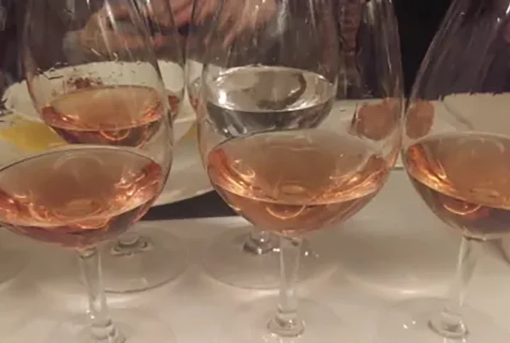 Roselito y Le Rosé, palabras mayores! (conclusión)