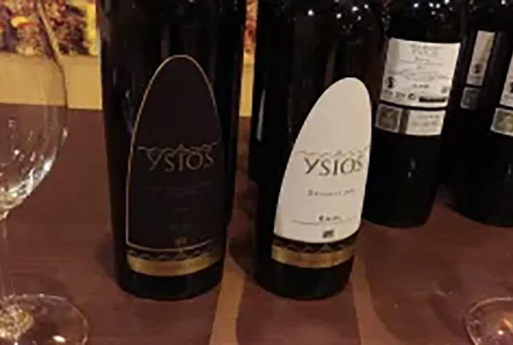 Cata Bodegas Ysios, simplemente espectácular
