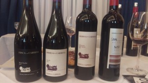 Dehesa del Carrizal Vinos de Pago
