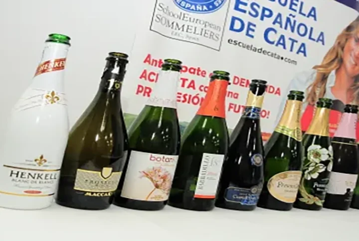 Curso Sumiller Escuela Española de Cata, una experiencia increíble