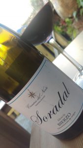 Soradal 2012 Bierzo Raúl Pérez Mencía