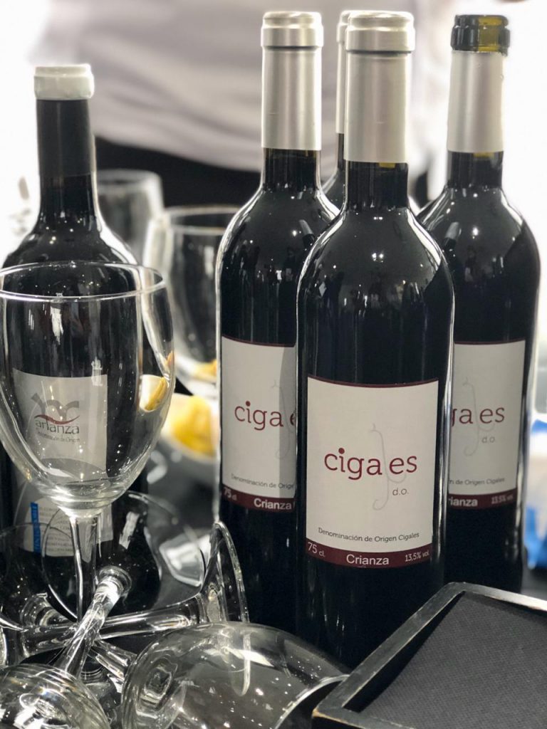 Enogastronomía Castilla y León