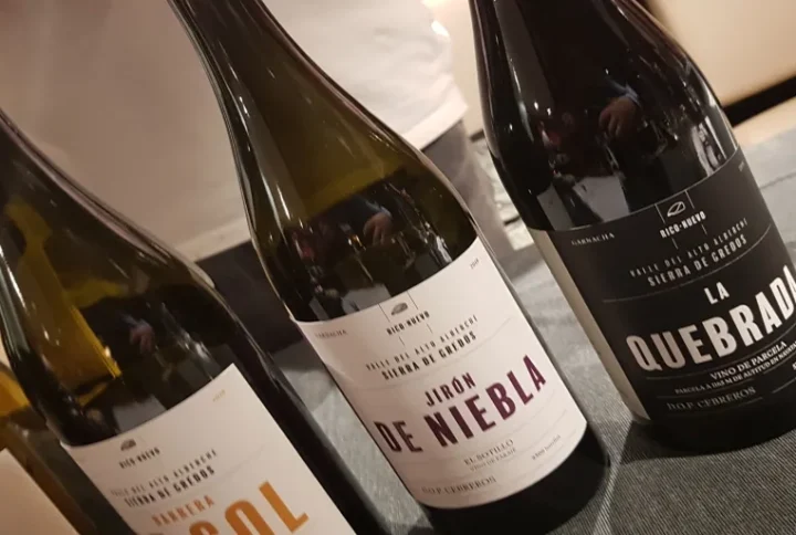 VARIEDAD VINÍCOLA ESPAÑOLA EN EL SHOWROOM DE PEQUEÑAS D.O.’s