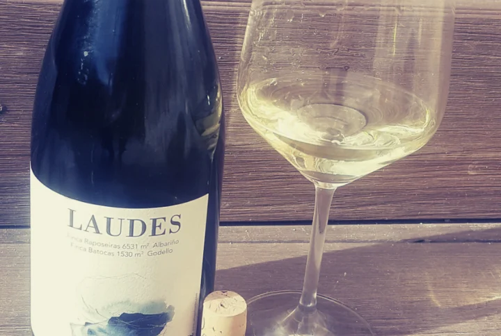 LAUDES 2020, UN RIBEIRO CON PERSONALIDADLaudes 2020, un ribeiro con personalidad